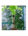 Label the Cable - DWUSTRONNE ROLKI 4X 1M - KOLOROWE 4260162070723 (LTC 1230) - nr 4