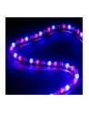 Lamptron Lamptron FLEXLIGHT MULTI 48 LEDS - RGB (2016300844284160809)  (2016300844284160809) - nr 3