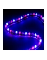 Lamptron Lamptron FLEXLIGHT MULTI 72 LEDS - RGB (2016530824796160802)  (2016530824796160802) - nr 12