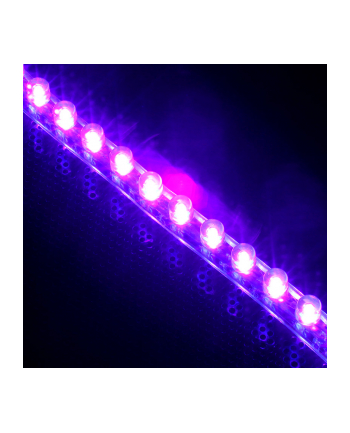 Lamptron FlexLight Standard - 24 LEDs - UV (MOLT-087)