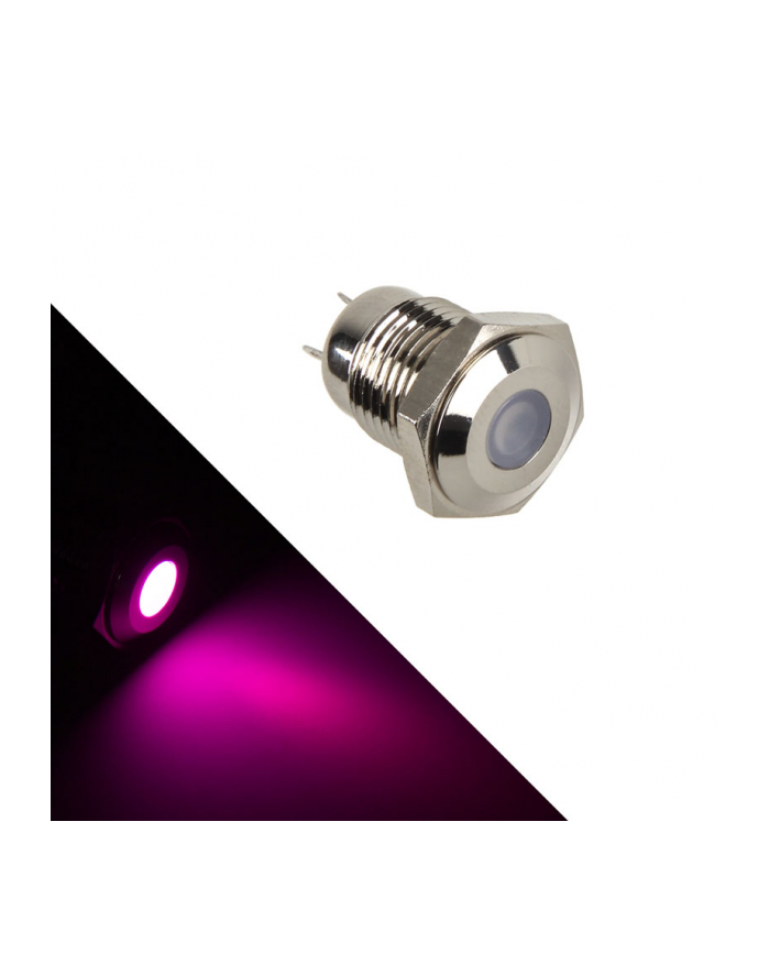 Lamptron Stainless Steel Vandal Resistant Illuminated fioletowa kropka (LAMPSW2005S) główny