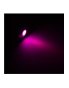 Lamptron Stainless Steel Vandal Resistant Illuminated fioletowa kropka (LAMPSW2005S) - nr 3