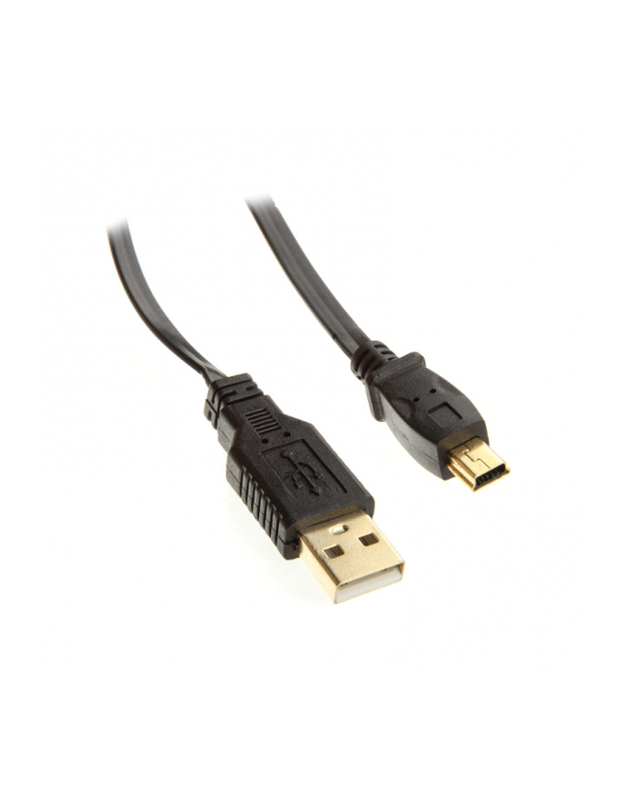 InLine 31810F główny