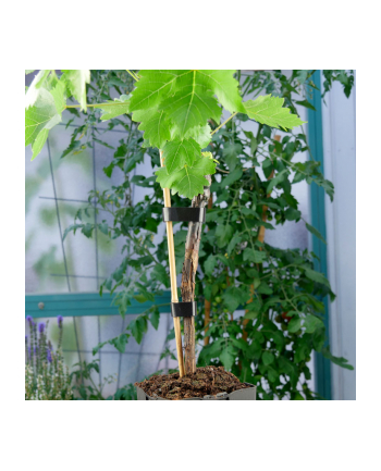 Label the Cable - DWUSTRONNE ROLKI 4X 1M - KOLOROWE 4260162070723 (LTC 1230)