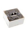 InLine Gniazdo natynkowe sieciowe 2x RJ45 Cat.6 iałe poziome (75602J) - nr 11