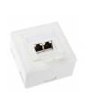 InLine Gniazdo natynkowe sieciowe 2x RJ45 Cat.6 iałe poziome (75602J) - nr 8