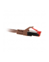 inline 2m Cat.6 kabel sieciowy 1000 Mbit RJ45 rązowy (76402K) - nr 3