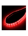 Lamptron Flexlight RGBW 3M- Dual/2x 30 LED (MOLT119) - nr 11