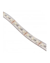 Lamptron Flexlight RGBW 3M- Dual/2x 30 LED (MOLT119) - nr 2