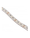 Lamptron Flexlight RGBW 3M- Dual/2x 30 LED (MOLT119) - nr 7