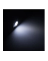 Lamptron Black Polycarbonate Vandal Resistant Illuminated biała kropka (LAMPSW2004H) - nr 6