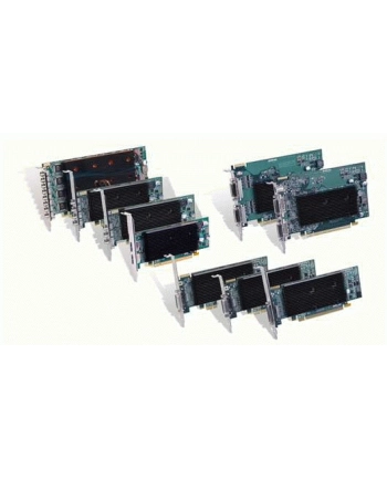 Karta Graficzna MATROX M9128  1GB , 2xDisplayPort, PCI-Express x16 low profile nr 2