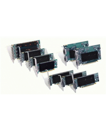 Karta Graficzna MATROX M9128  1GB , 2xDisplayPort, PCI-Express x16 low profile nr 2