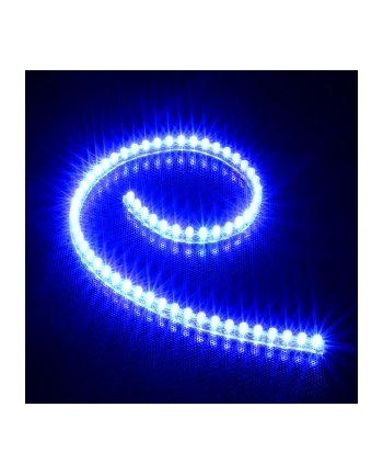 Lamptron Taśma LED FlexLight Standard - 60xLED - niebieska (LAMP-LEDFL6001) nr 1