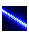 Lamptron Taśma LED FlexLight Standard - 60xLED - niebieska (LAMP-LEDFL6001) - nr 8
