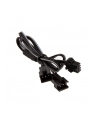 PHANTEKS przedłużacz rozgałęźnik 3-PIN Digital LED (PHCBDRGB3P) - nr 4