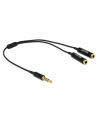 Delock Kabel Splitter Audio Jack 3.5Mm 25Cm - nr 1