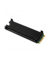 Thermal Grizzly M.2 Ssd Cooler (ZUWA164) - nr 20