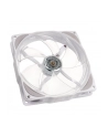 NoiseBlocker NB-eLoop X B12-PS ARGB PWM 120mm (ITRB12XPS) - nr 7