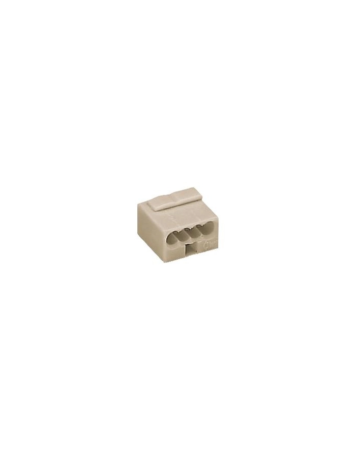 WAGO zacisk miniaturowy szary 4-pin 243-304 główny