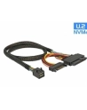 Delock Delock SFF-8643 / U.2 SFF-8639 + SATA 15Pin 0.5m (84819) - nr 25