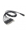 Delock Kabel zasilający rozdzielacz DC 5.5 x 2.1mm 1x-6x St 0.5m (83289) - nr 3