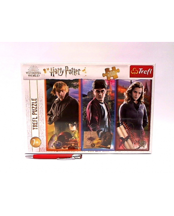 Puzzle 200el W świecie magii i czarów 13277 Trefl