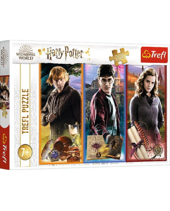 Puzzle 200el W świecie magii i czarów 13277 Trefl