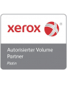 Xerox - magenta - original - tonerpatron - Toner laserowy Magenta (106R03897) - nr 12