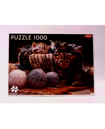 PROMO Puzzle 1000el Animals: Cute Kittens TACTIC