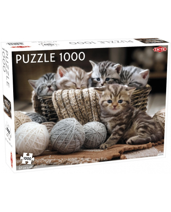 PROMO Puzzle 1000el Animals: Cute Kittens TACTIC