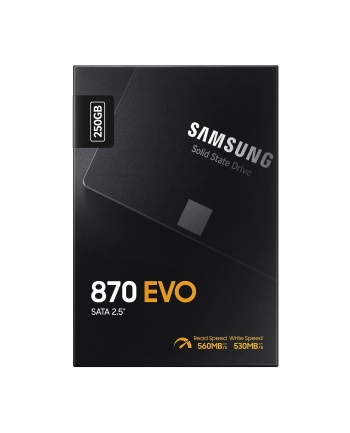 samsung Dysk SSD 870EVO MZ-77E250B/EU 250GB nr 1