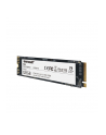 patriot Dysk SSD P300 128GB M.2 PCIe Gen 3 x4 1600/600 - nr 6