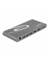 DeLOCK 87772 notebook dock/port replicator Wired Thunderbolt 3 Grey, Docking station - nr 9