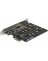 DeLOCK PCI Express x1 card to 2 x internal M.2 Key B, adapter - nr 14