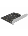 DeLOCK PCI Express x1 card to 2 x internal M.2 Key B, adapter - nr 7