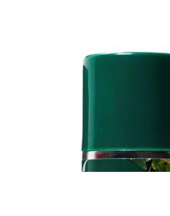 bosch powertools Bosch Care spray 250ml - 1609200399 główny