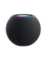 Apple Homepod mini, loudspeaker (Space Grey, WLAN, Bluetooth, Siri) - nr 23