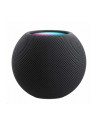 Apple Homepod mini, loudspeaker (Space Grey, WLAN, Bluetooth, Siri) - nr 26