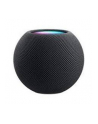 Apple Homepod mini, loudspeaker (Space Grey, WLAN, Bluetooth, Siri) - nr 27