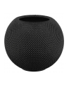 Apple Homepod mini, loudspeaker (Space Grey, WLAN, Bluetooth, Siri) - nr 28