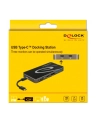 DeLOCK USB Type-C 3.2 docking station (black, 4K HDMI + DP, VGA, USB hub and PD 3.0) - nr 21
