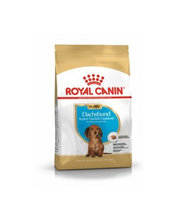 Karma Royal Canin SHN Breed Dachshund Jun 1 5 kg