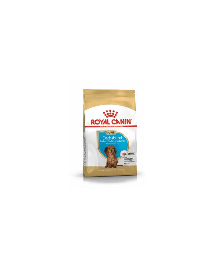Karma Royal Canin SHN Breed Dachshund Jun 1 5 kg główny