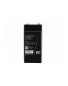 green cell GREENCELL battery AGM VRLA 4V 4Ah - nr 2