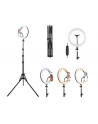 TRACER RING 30cm tripod 210cm ring lamp - nr 17