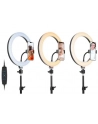 TRACER RING 30cm tripod 210cm ring lamp - nr 18