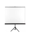 Ekran na statywie AVTek Tripod Standard 175x175 (1:1) Matt White - nr 4