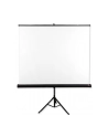 Ekran na statywie AVTek Tripod Standard 175x175 (1:1) Matt White - nr 5