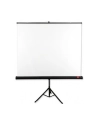 Ekran na statywie AVTek Tripod Standard 200x200 (1:1) Matt White - nr 1